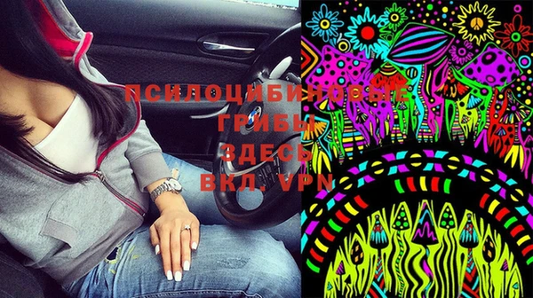 PSILOCYBIN Вязники