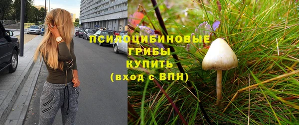 спайс Вязьма