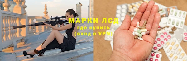 PSILOCYBIN Вязники