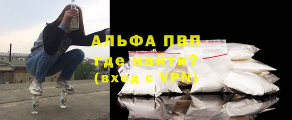 PSILOCYBIN Вязники