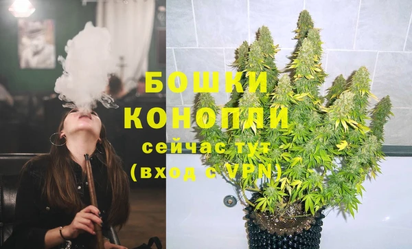 МДПВ Вяземский
