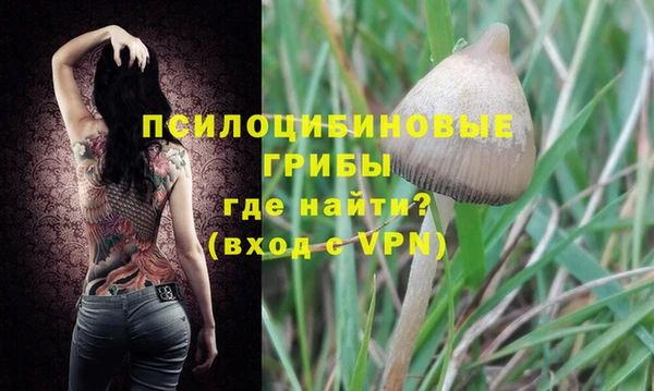 ALPHA-PVP Горнозаводск