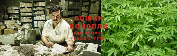 МДПВ Вяземский