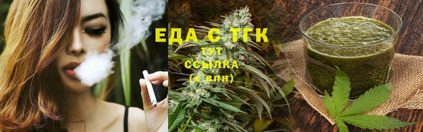 прущие грибы Горно-Алтайск
