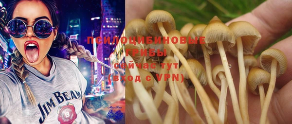 PSILOCYBIN Вязники