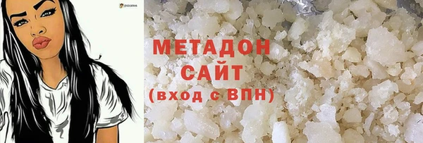 прущие грибы Горно-Алтайск