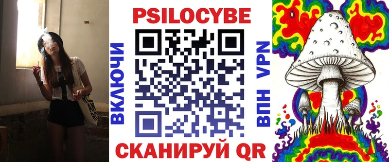 Купить где Харовск Псилоцибиновые грибы Psilocybe